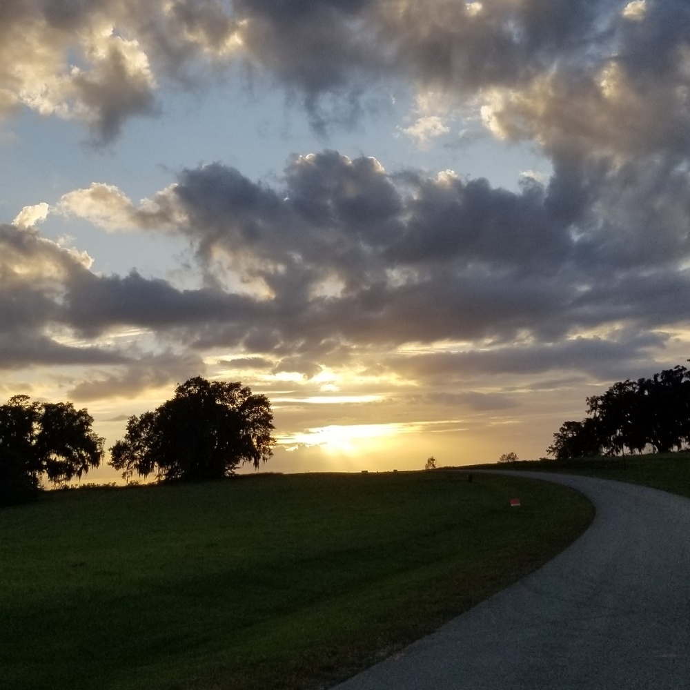 Meet your Posher, Abigail